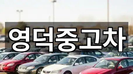 경북 영덕군 중고차 재방문 많은 5곳