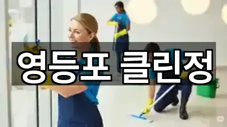 서울특별시 영등포구 문래동3가 청소 네이버 지도 5곳