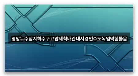영암누수탐지하수구고압세척배관내시경언수도녹임막힘뚫음