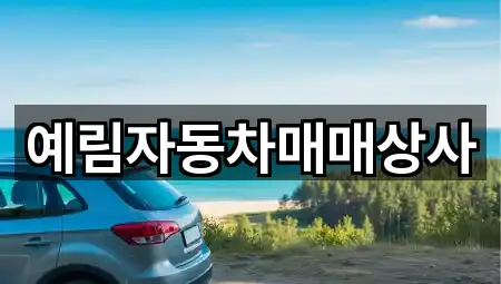 예림자동차매매상사