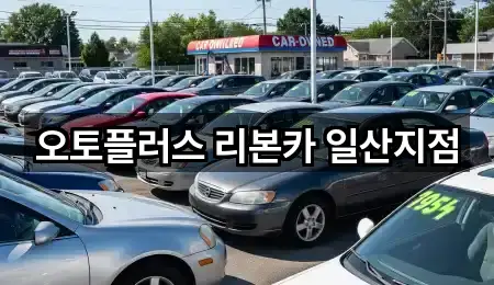 경기도 고양시 일산동구 풍동 중고차 · 총 5곳