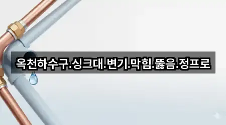 핵심만 보기: 충청북도 옥천군 옥천읍 변기막힘 5곳