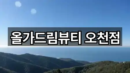 올가드림뷰티 오천점