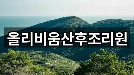 서울 의주로1가 산후조리원 2곳 위치만 보기