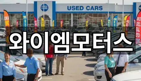 빠르게 연결: 홍천군 홍천읍중고차 5곳