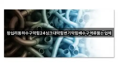 왕십리동하수구막힘24싱크대막힘변기막힘배수구역류뚫는업체