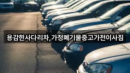 용감한사다리차,가정폐기물중고가전이사짐