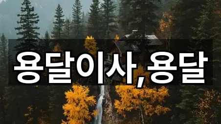 부천시 역곡동용달이사 전체 보기 5곳