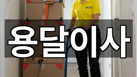 지도 링크 모음: 중구 선화동 용달이사 5곳