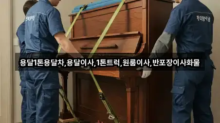 3곳 의성군 단촌면 용달이사 지도만 보기