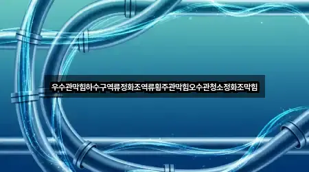 우수관막힘하수구역류정화조역류횡주관막힘오수관청소정화조막힘
