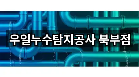 우일누수탐지공사 북부점
