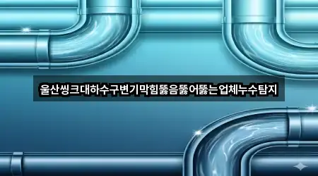 울산씽크대하수구변기막힘뚫음뚫어뚫는업체누수탐지