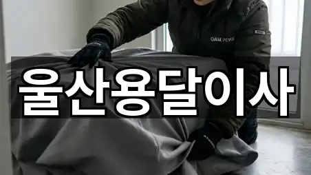 울산광역시 청량읍 용달이사 5곳 빠른 확인