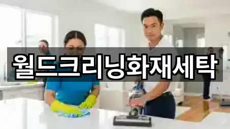 월드크리닝화재세탁