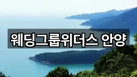웨딩그룹위더스 안양