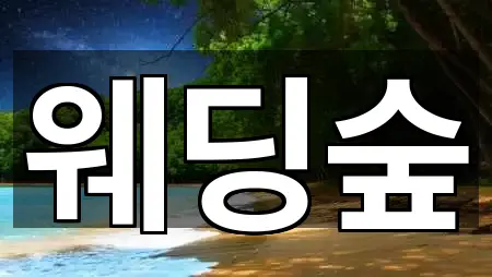 바로 출발: 서울특별시 중구 을지로6가 웨딩컨설팅 5곳