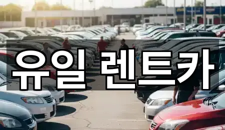 경기도 안양 동안구 비산동 렌트카 길 안내 5곳