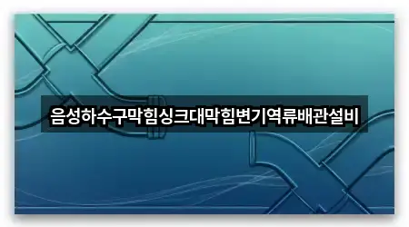 음성하수구막힘싱크대막힘변기역류배관설비