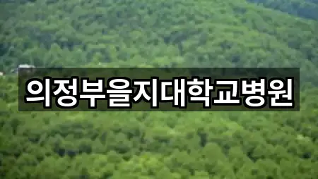 의정부시 금오동 산부인과 5곳 길안내 모음