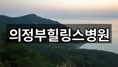 의정부힐링스병원