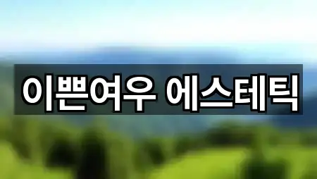 5곳 시흥시 신천동 에스테틱 총정리