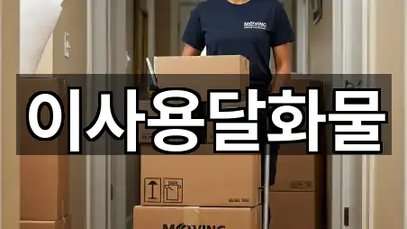 초간편 조회: 대전광역시 낭월동 이사 5곳