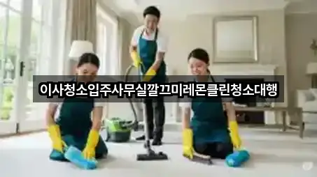 이사청소입주사무실깔끄미레몬클린청소대행