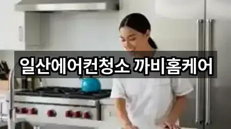 일산에어컨청소 까비홈케어