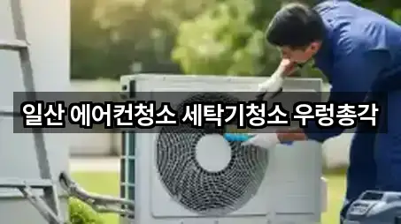 일산 에어컨청소 세탁기청소 우렁총각