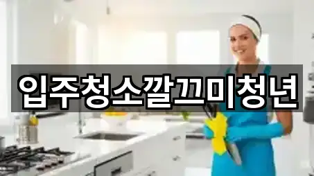 입주청소깔끄미청년