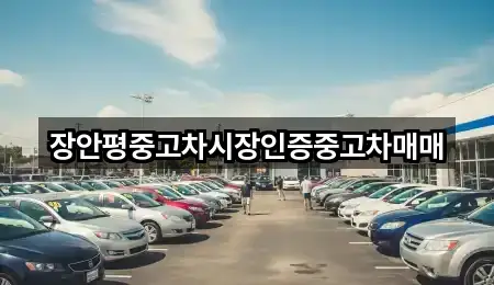 장안평중고차시장인증중고차매매