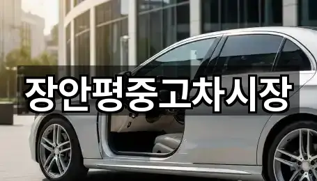 중고차매매 핵심 정보 3곳