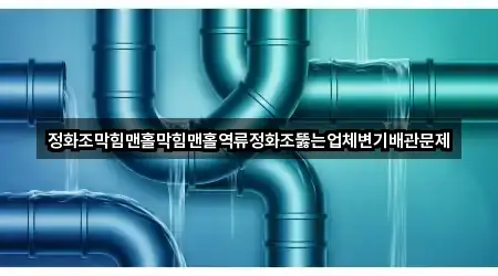 정화조막힘맨홀막힘맨홀역류정화조뚫는업체변기배관문제