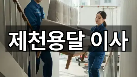 충북 신백동 용달이사 영업 중 4곳