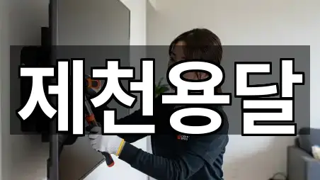 예약 한 번에: 충북 제천시 신백동 사무실이사 4곳