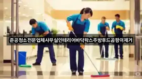 준공청소전문업체사무실인테리어바닥왁스주방후드곰팡이제거