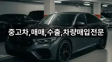 4곳의 경기 고양시 덕양구 벽제동중고차 위치 확인