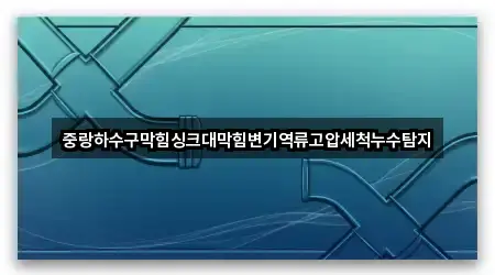 중랑하수구막힘싱크대막힘변기역류고압세척누수탐지