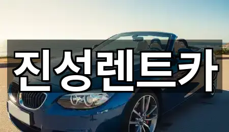 진성렌트카
