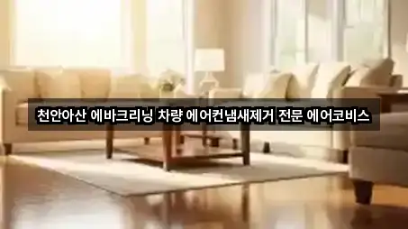 천안아산 에바크리닝 차량 에어컨냄새제거 전문 에어코비스