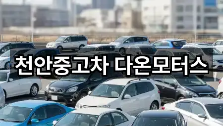 충남 구성동 중고차 5곳 위치 열람