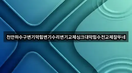천안하수구변기막힘변기수리변기교체싱크대막힘수전교체잘뚜네