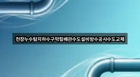 천장누수탐지하수구막힘배관수도설비방수공사수도교체