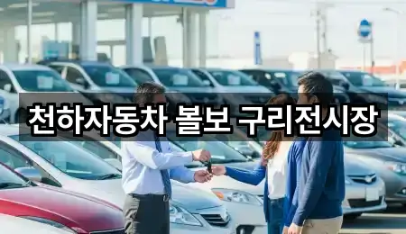 천하자동차 볼보 구리전시장