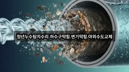 청년누수탐지수리.하수구막힘.변기막힘.야외수도교체
