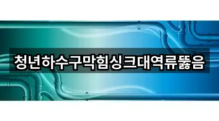 청년하수구막힘싱크대역류뚫음
