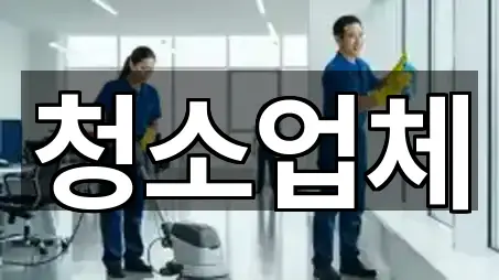 청소업체