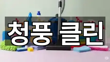 원페이지: 광양시 마동 청소 5곳