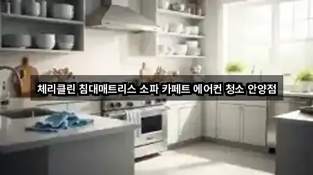 체리클린 침대매트리스 소파 카페트 에어컨 청소 안양점